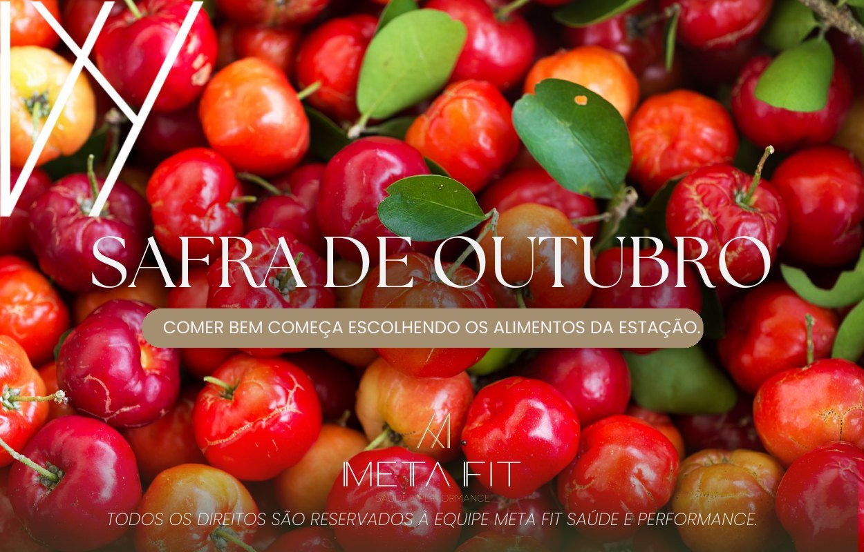 Capa do e-book: Safra de outubro